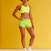 12359-accelerate-split-strap-sports-bra-hyper-green-3.webp Accelerate Split Strap Sports Bra - Hyper Green