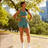 16687-precision-sports-bra-sagebrush-5.webp Precision Sports Bra - Sagebrush