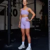 17501-galvanise-sports-bra-2.0-violet-ray-3.webp Galvanise Sports Bra 2.0 - Violet Ray