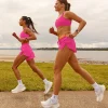 Velocity Sports Bra - Ultra Pink