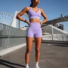 Sculpt Sports Bra - Violet Ray